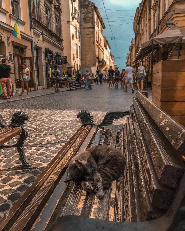 Appartement Cozy & New Furnished Flat In Old Town Of Lviv Extérieur photo